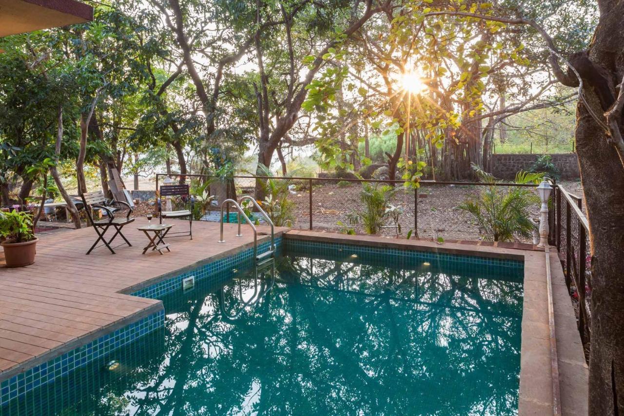 Villa Antilia - Luxurious-ac-swimming Pool